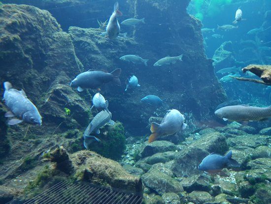 Nationalparkhaus Aquaprad