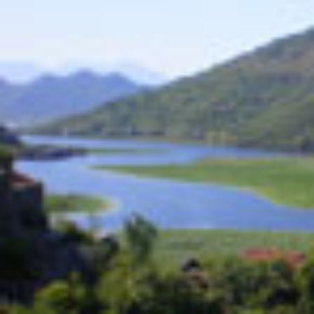 Bar Tennis e Bar invernale